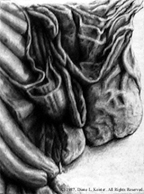 Sheets of Dreams I, drawing 1987 Diane L. Keister. All Rights Reserved.