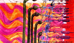 Visual Perception, mixed media Drawing 1988 Diane L. Keister. All Rights Reserved.