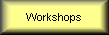  Workshops 