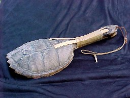 /user/turtlerattle.JPG