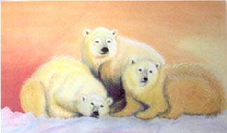 Tri Bears