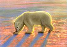 Lit Bear