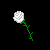 White Rose-Back to Reality