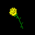 Yellow Rose with Black Background