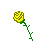 Yellow Rose Background