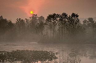 Cuyahoga Valley Wet Lands Photograph