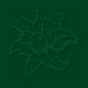 Dark Green Fruit Design