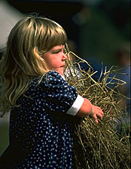 Little Hay Girl Photograph