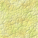 Yellow Texture