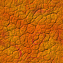 Autumn Colors Texture