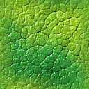 Green Texture