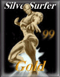 SilverSurfer Gold Award