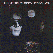 floodland