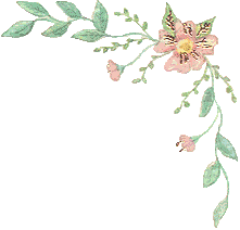 a_blos1.gif (7100 bytes)