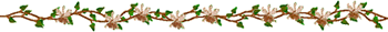 blossomline2.gif (6359 bytes)