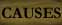 lincauses.jpg (1003 bytes)