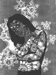 ilustrace