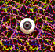 See what you can see