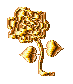 a golden rose