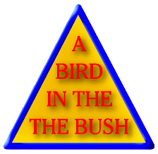 bird.gif (13883 bytes)
