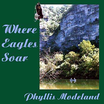 Cover of 'Where Eagles Soar'