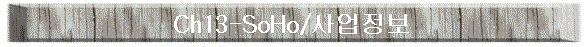 ch13-ȣ/