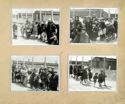 holocaust photos