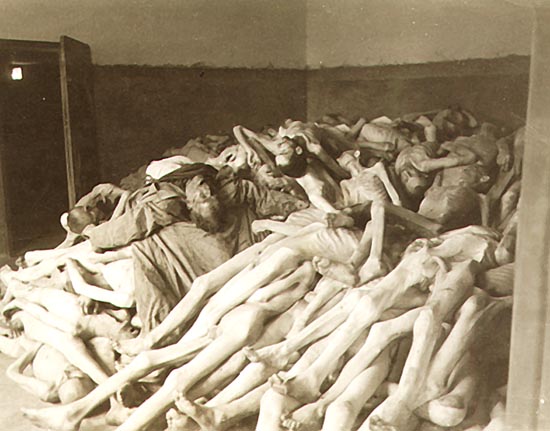 holocaust photo