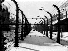 image of barbed wires of the death camps