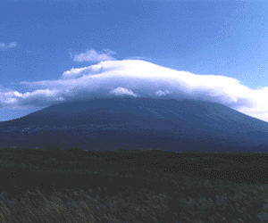Mt. Fuji