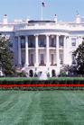 The whitehouse