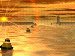 sunny.jpg - 2,31 K