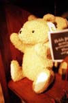 Teddy's portrait