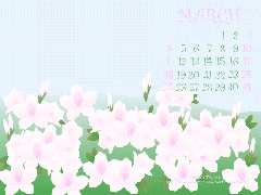 �T��ୱ