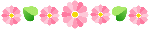 sd06.gif (1371 bytes)