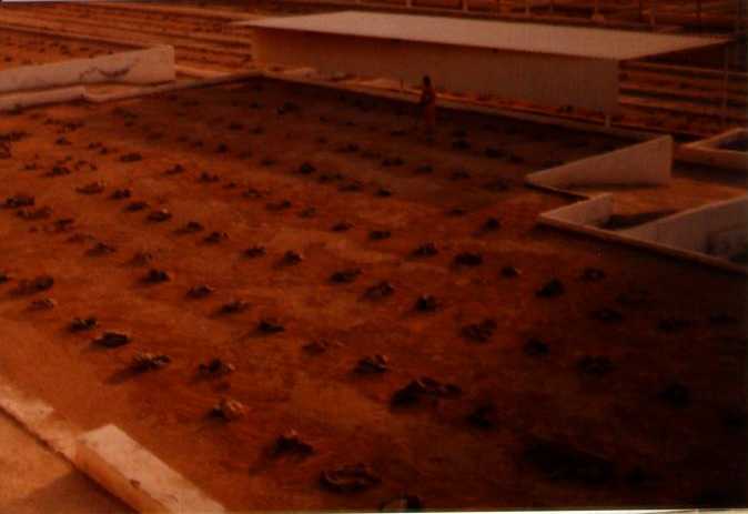 View of Jannat-ul-Moalla (Makkah Grave Yard)
