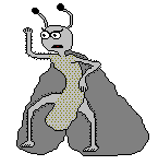 moth
