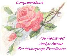 Congratulations!  You Received Andy's Award For Homepage Excellence