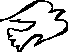 peacedove