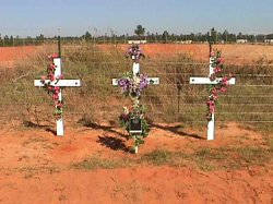 The Crosses