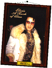 Go shop at the Elvis mall..