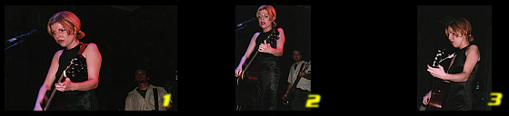 strip 1