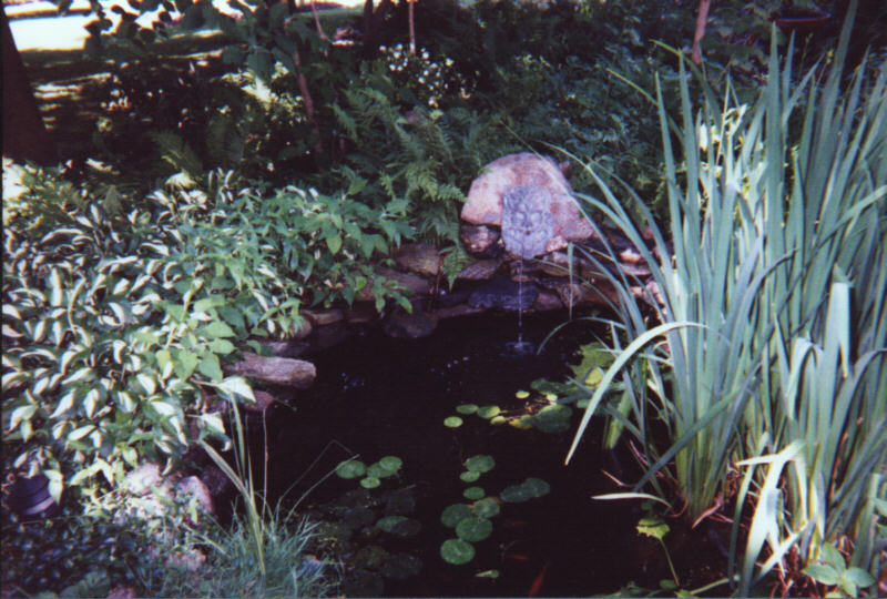 Cottage Garden