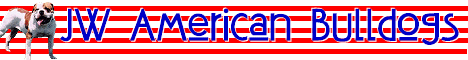 American Bulldogs