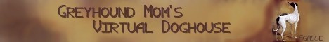 Greyhounds!