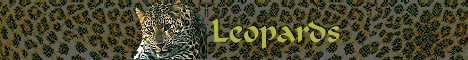 Tabitha Want Protect Leopards