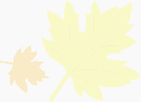 fall
