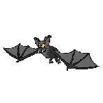 Bat