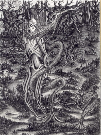 /user/swamp.JPG