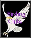 Western New York Birding Clubs